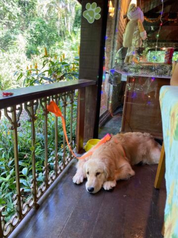 WhatsApp Image 2025-07-22 at 21.45.11 (1)