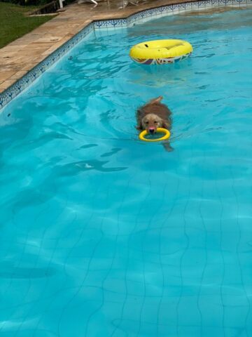 WhatsApp Image 2025-07-23 at 11.54.35